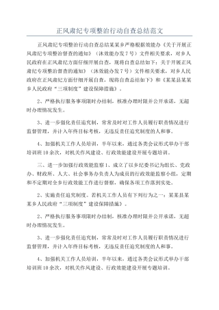 正风肃纪专项整治行动自查总结范文