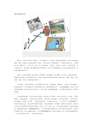 母亲节的香石竹