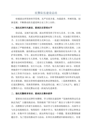 民警队伍建设总结