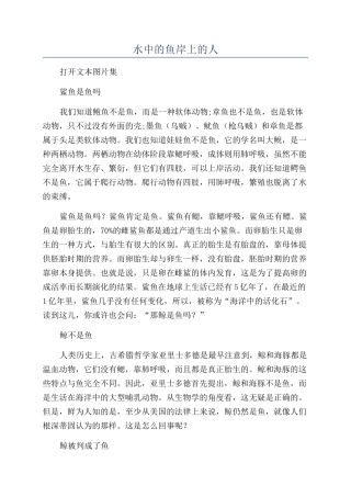 水中的鱼岸上的人