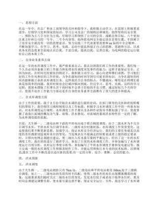 水利个人工作总结报告