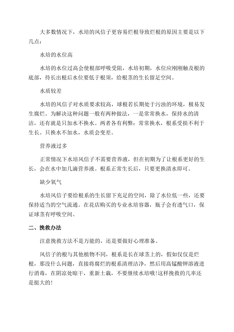 水培风信子该怎么去养护_第3页