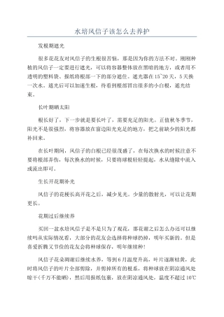 水培风信子该怎么去养护