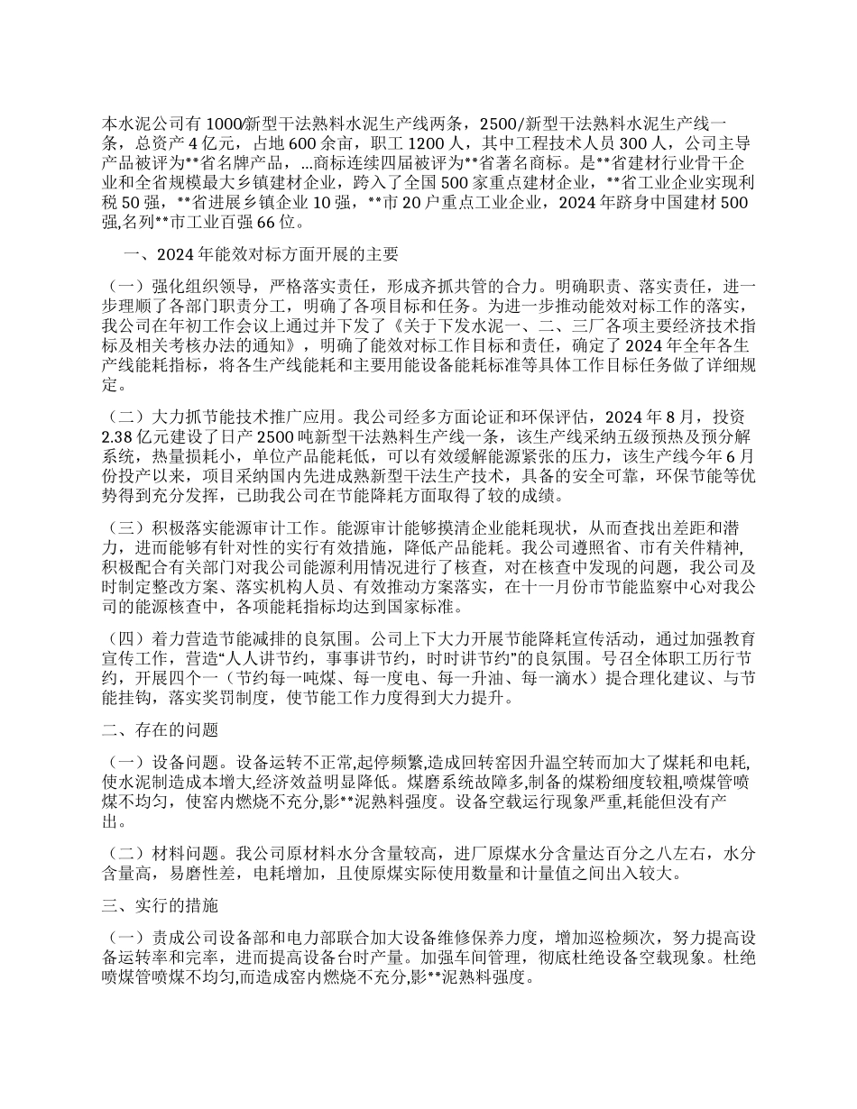 水泥公司能效对标工作总结_第1页