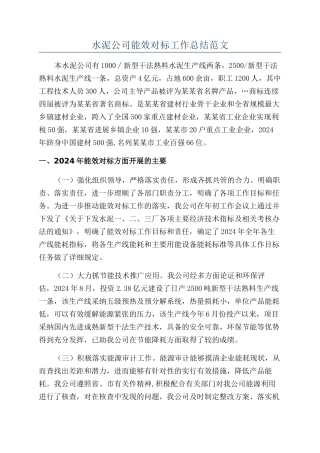 水泥公司能效对标工作总结范文