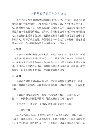 水稻早衰的原因与防治方法