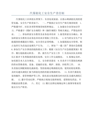 汽雾阻化工安全生产责任制