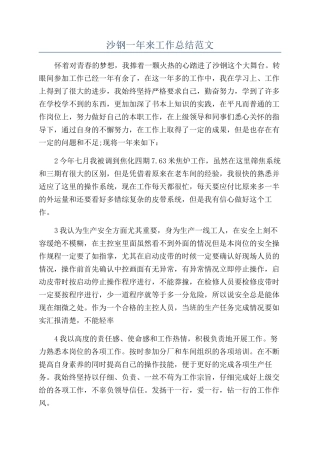 沙钢一年来工作总结范文