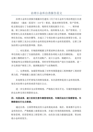 治理小金库自查报告范文
