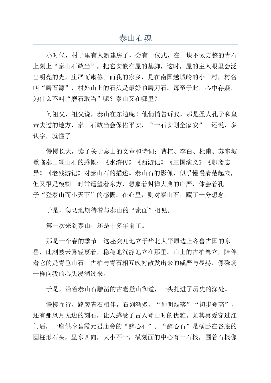 泰山石魂-精品文档_第1页