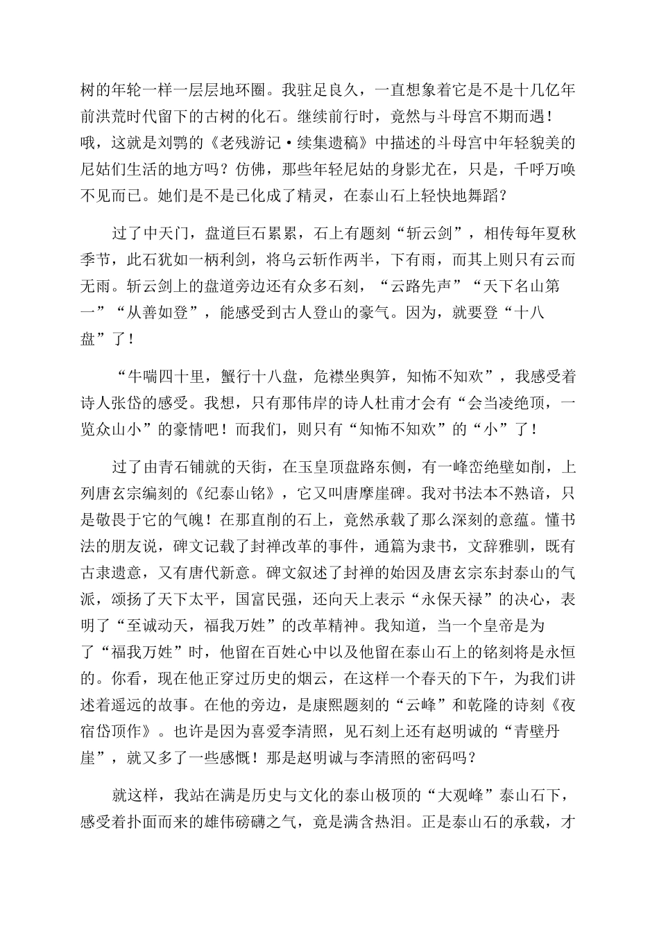 泰山石魂-精品文档_第2页