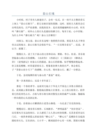 泰山石魂-精品文档