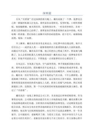 深圳蓝-精品文档