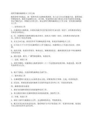 清明节期间森林防火工作方案