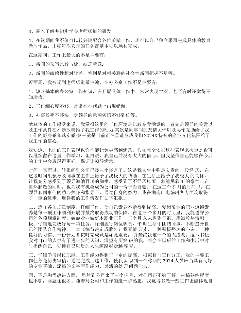 湖南广电转正工作报告_第3页