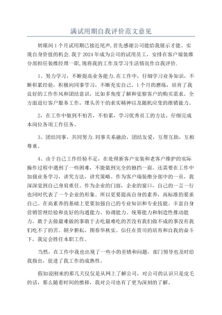 满试用期自我评价范文意见
