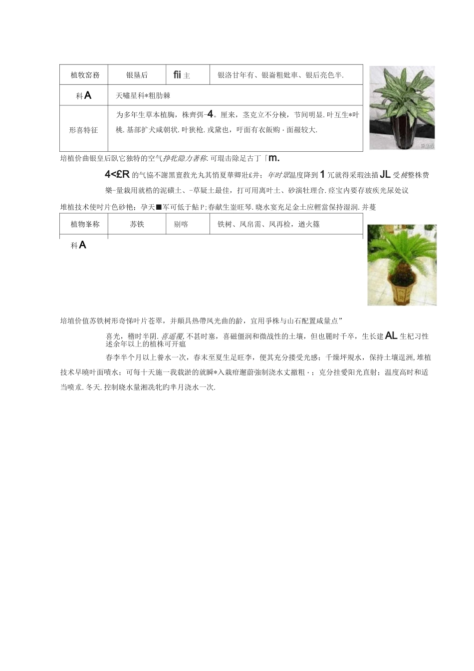 50种常见室内盆栽绿化植物介绍(带图片)._第2页
