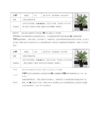 50种常见室内盆栽绿化植物介绍(带图片).