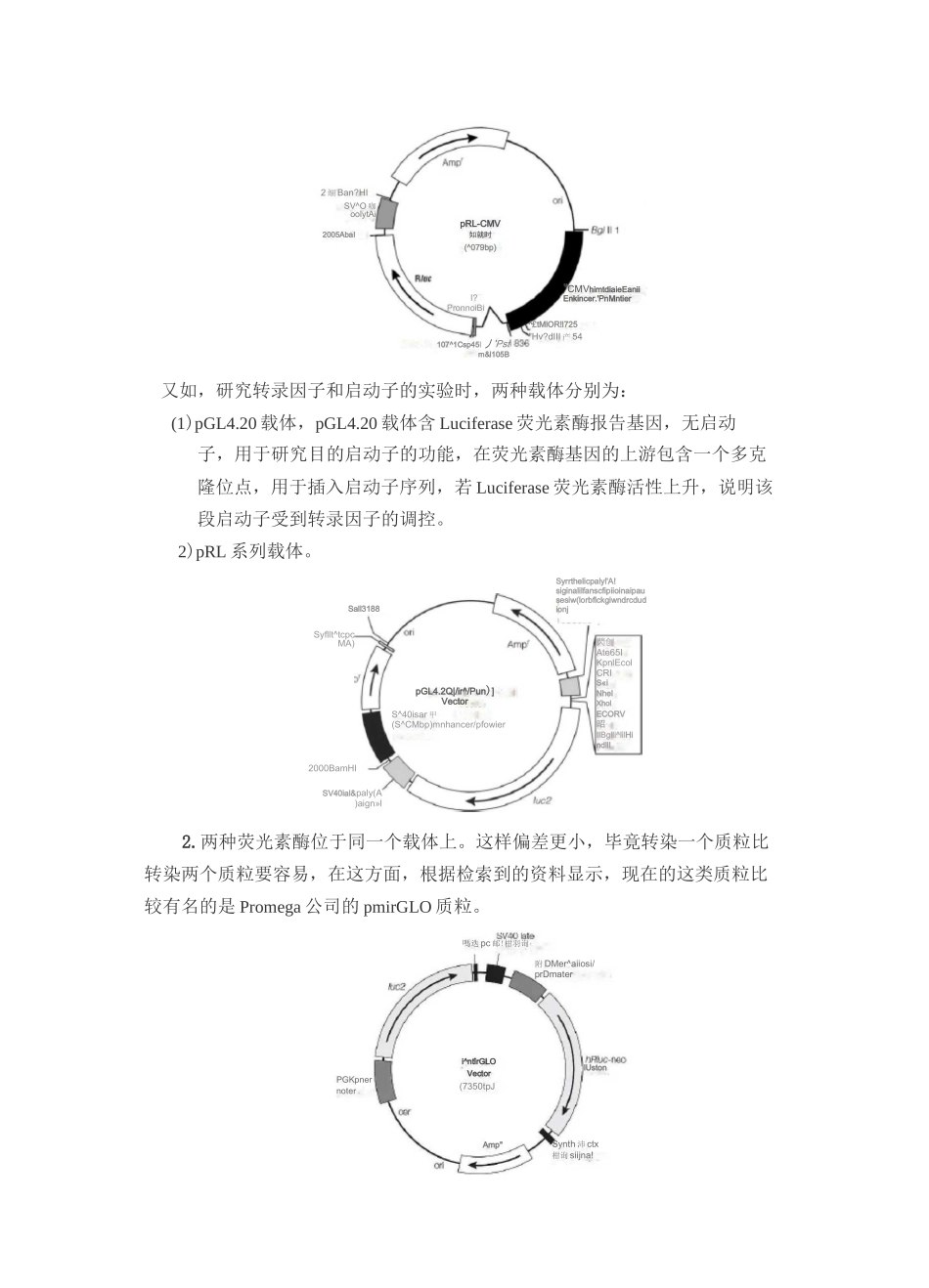 荧光报告基因实验_第3页