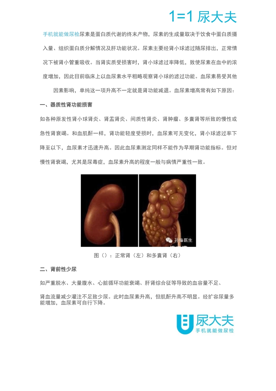 “肾功能三项”怎么看_第3页