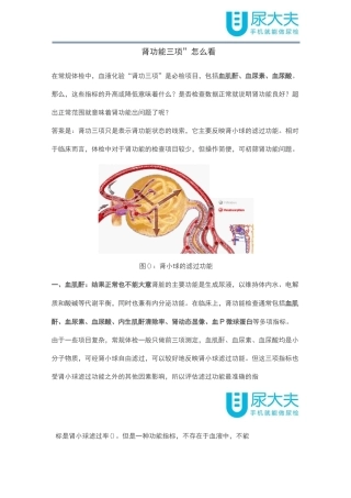 “肾功能三项”怎么看
