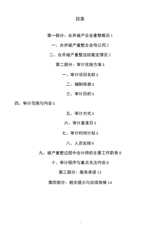 天地公司合并破产重整审计工作方案
