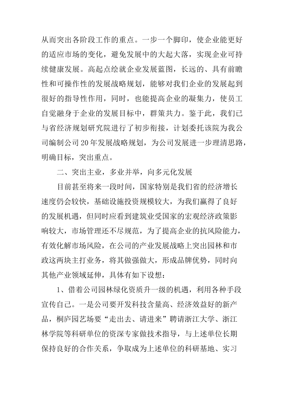 公司发展战略规划_第2页