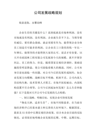 公司发展战略规划