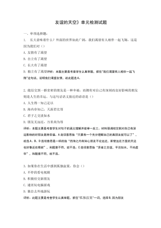 《友谊的天空》单元检测试题