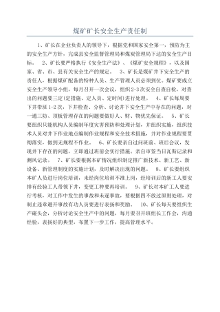 煤矿矿长安全生产责任制