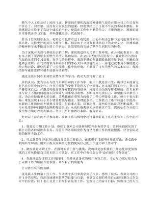 燃气个人工作总结