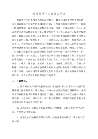 燃油费使用自查报告范文