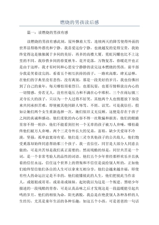 燃烧的男孩读后感