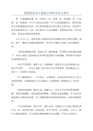 爱国团结奋斗感恩心得体会范文例文