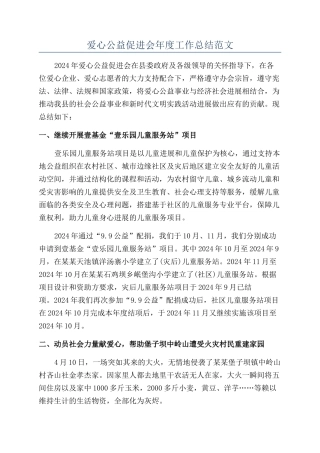 爱心公益促进会年度工作总结范文
