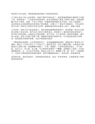 爱的密码作文800字