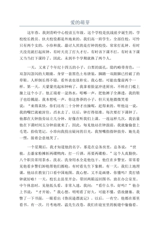 爱的萌芽-精品文档
