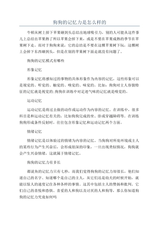 狗狗的记忆力是怎么样的
