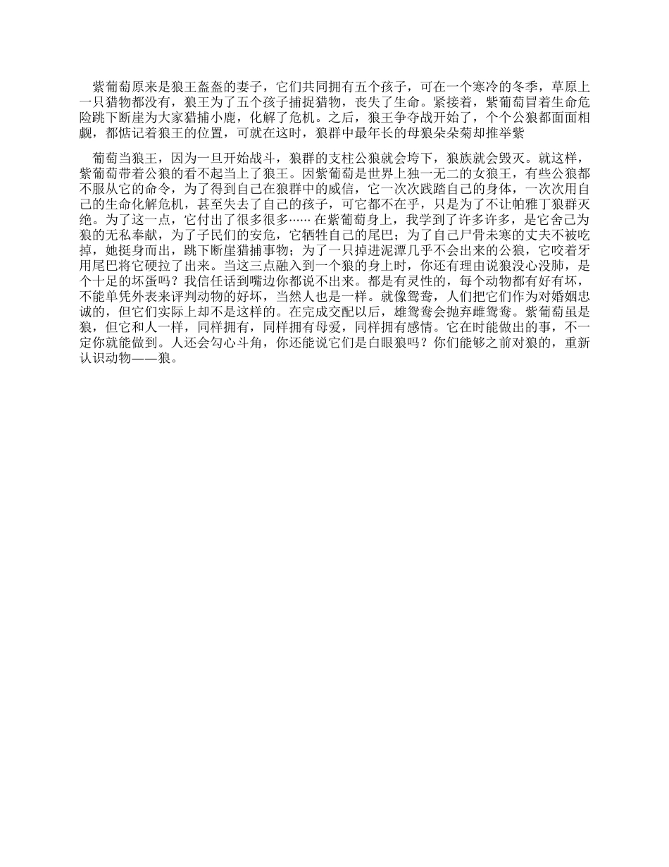 狼国女王读后感600字-狼国女王读后感_第3页