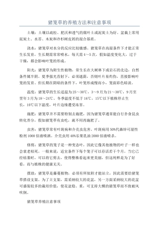 猪笼草的养殖方法和注意事项