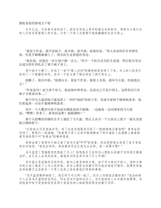 猫捉老鼠的游戏