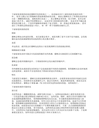 猫下泌尿道疾病的诊断