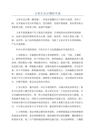 玉米生长后期防早衰