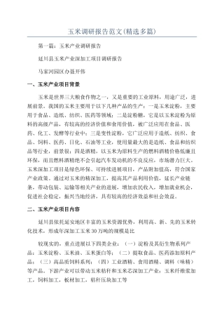 玉米调研报告范文