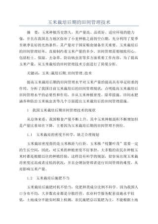 玉米栽培后期的田间管理技术