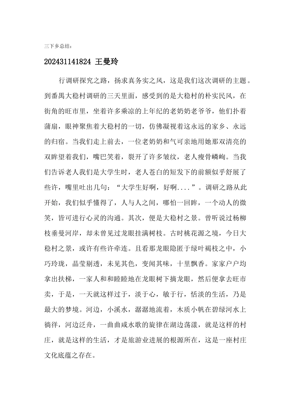 王曼玲-三下乡总结_第1页
