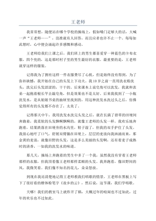 王老师-精品文档