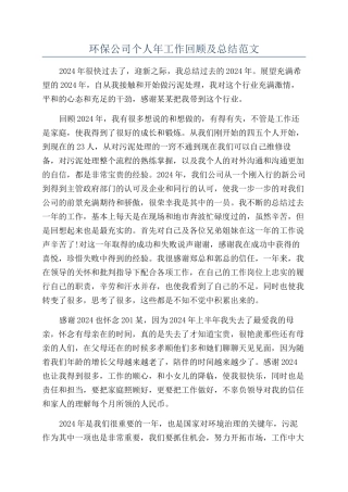 环保公司个人年工作回顾及总结范文