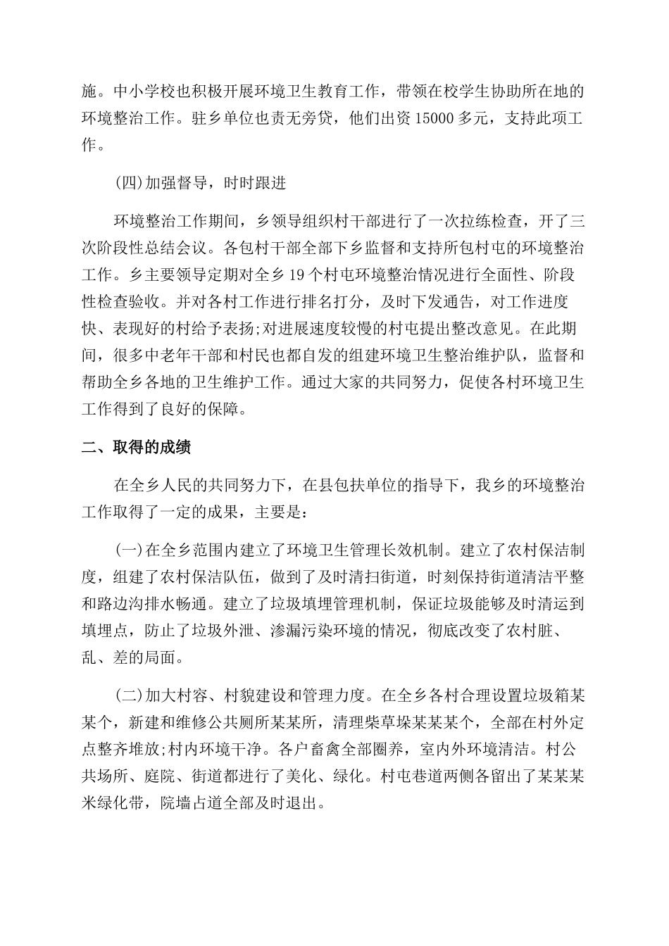 环境整治年终个人工作总结范文_第2页