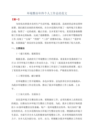 环境整治年终个人工作总结范文